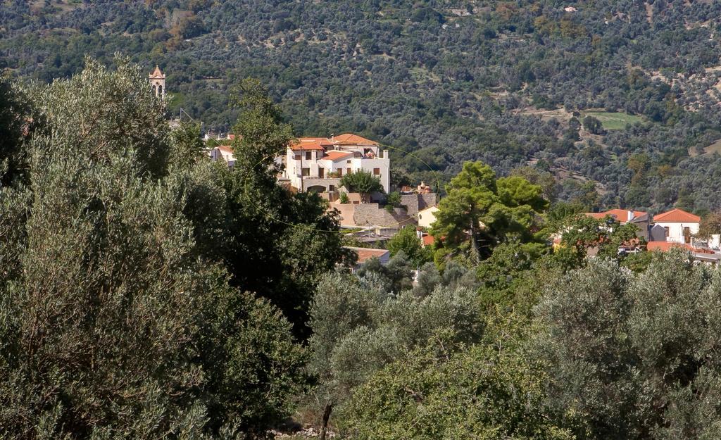 Amari Villas Kültér fotó